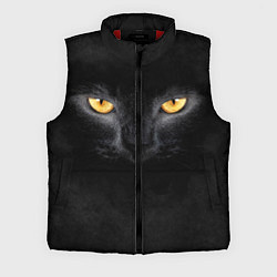 Мужской жилет Черная кошка, цвет: 3D-красный