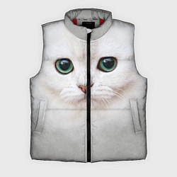 Мужской жилет Белый котик, цвет: 3D-красный