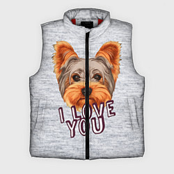 Мужской жилет Йоркширский терьер