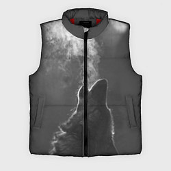 Мужской жилет Воющий волк, цвет: 3D-красный