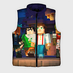 Мужской жилет Minecraft Men's, цвет: 3D-черный