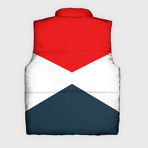 Мужской жилет Форма России / 3D-Светло-серый – фото 2