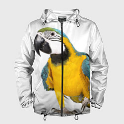Ветровка с капюшоном мужская Попугай ара, цвет: 3D-черный
