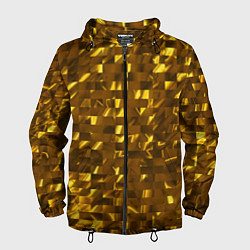 Ветровка с капюшоном мужская Золотые кубики, цвет: 3D-черный