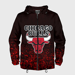 Мужская ветровка CHICAGO BULLS