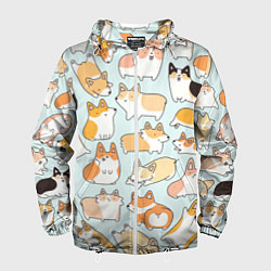 Ветровка с капюшоном мужская Милые корги, цвет: 3D-белый
