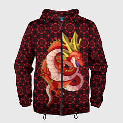 Ветровка с капюшоном мужская Шар дракона, цвет: 3D-черный