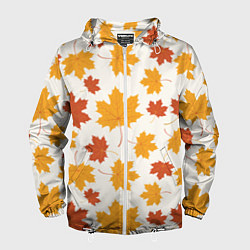 Ветровка с капюшоном мужская Осень Autumn, цвет: 3D-белый