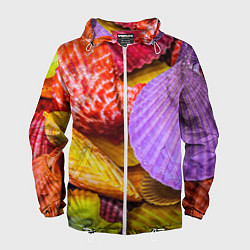 Ветровка с капюшоном мужская Разноцветные ракушки multicolored seashells, цвет: 3D-белый