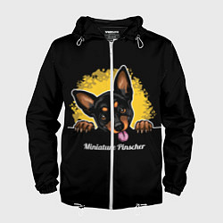 Ветровка с капюшоном мужская Пинчер Miniature Pinscher, цвет: 3D-белый