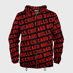 Ветровка с капюшоном мужская Чикаго Буллз, Chicago Bulls, цвет: 3D-черный
