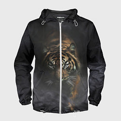 Ветровка с капюшоном мужская Тигр в тумане, цвет: 3D-белый