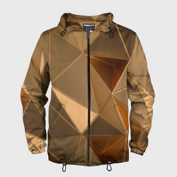 Ветровка с капюшоном мужская Золотые 3D треугольники, цвет: 3D-черный