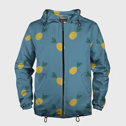 Ветровка с капюшоном мужская Pineapplы, цвет: 3D-черный