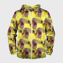 Ветровка с капюшоном мужская Попугай Корелла Орёт Мем, цвет: 3D-белый