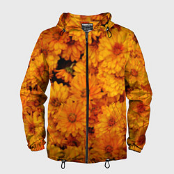 Ветровка с капюшоном мужская Фон из желтых цветов, цвет: 3D-черный