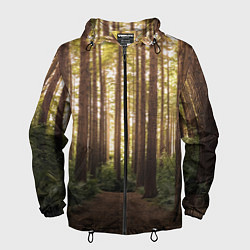 Ветровка с капюшоном мужская Дневной лес, деревья и свет, цвет: 3D-черный
