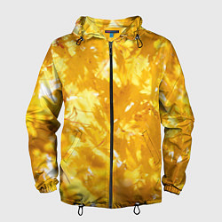 Ветровка с капюшоном мужская Золотые листья на ветках, цвет: 3D-черный