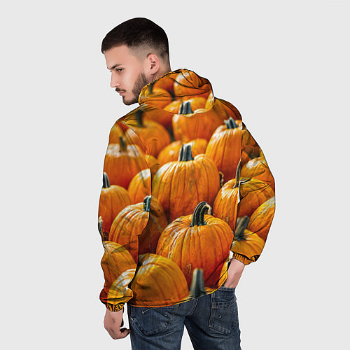 Мужская ветровка Много тыкв / 3D-Черный – фото 4