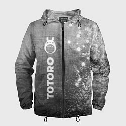 Мужская ветровка Totoro - grey gradient по-вертикали