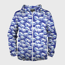 Мужская ветровка Голубые бриллианты