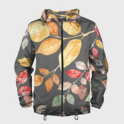 Ветровка с капюшоном мужская Шумный листопад на сером, цвет: 3D-черный
