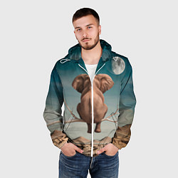 Ветровка с капюшоном мужская Задумчивый слон: пустыня, цвет: 3D-белый — фото 2