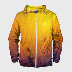 Мужская ветровка Узоры золотистого инея