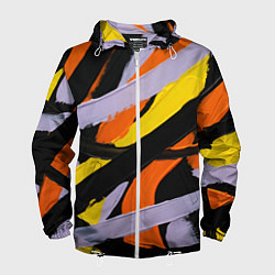 Ветровка с капюшоном мужская Полоски краски абстракция, цвет: 3D-белый