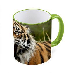 Кружка 3D Удивленный тигр, цвет: 3D-светло-зеленый кант