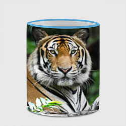Кружка 3D Тигр в джунглях, цвет: 3D-небесно-голубой кант — фото 2