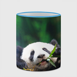 Кружка 3D Панда на ветке, цвет: 3D-небесно-голубой кант — фото 2