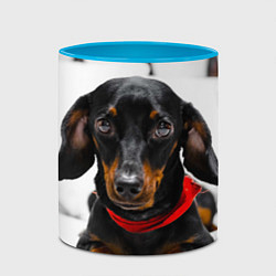 Кружка 3D Милая такса, цвет: 3D-белый + небесно-голубой — фото 2