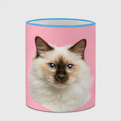 Кружка 3D Пушистый кот, цвет: 3D-небесно-голубой кант — фото 2