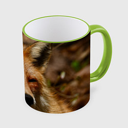 Кружка цветная Лис дремлет