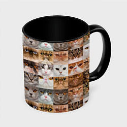 Кружка 3D Pedigreed cats, цвет: 3D-белый + черный