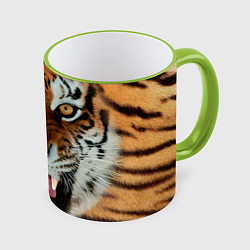 Кружка 3D Взгляд тигра, цвет: 3D-светло-зеленый кант