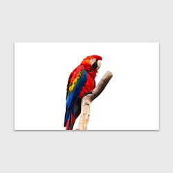 Бумага для упаковки Яркий попугай