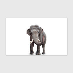Бумага для упаковки Большой слон