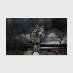 Бумага для упаковки Кот, цвет: 3D-принт