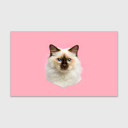 Бумага для упаковки Пушистый кот, цвет: 3D-принт