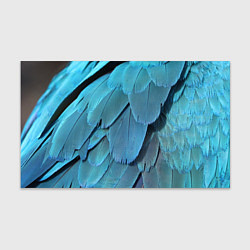 Бумага для упаковки Перья попугая, цвет: 3D-принт