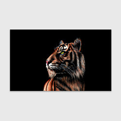 Бумага для упаковки Тигр в Темноте Взгляд Вверх, цвет: 3D-принт