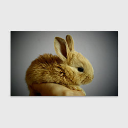 Бумага для упаковки Маленький кролик, цвет: 3D-принт