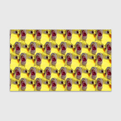 Бумага для упаковки Попугай Корелла Орёт Мем, цвет: 3D-принт