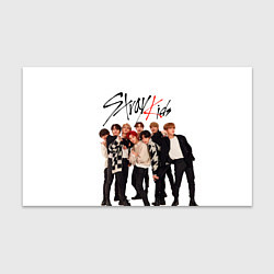 Бумага для упаковки Stray Kids white background