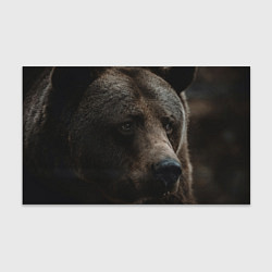Бумага для упаковки Медведь