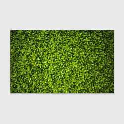 Бумага для упаковки Зеленая трава