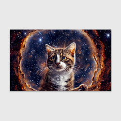 Бумага для упаковки Сноу-шу в космосе