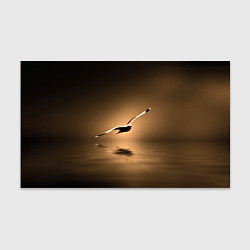 Бумага для упаковки Летящая птица